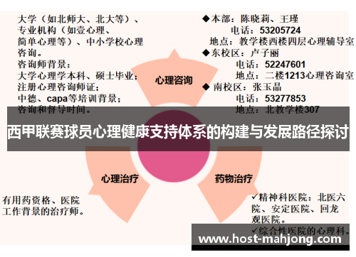 西甲联赛球员心理健康支持体系的构建与发展路径探讨