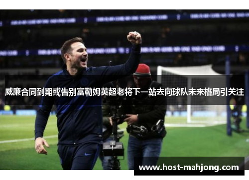 威廉合同到期或告别富勒姆英超老将下一站去向球队未来格局引关注