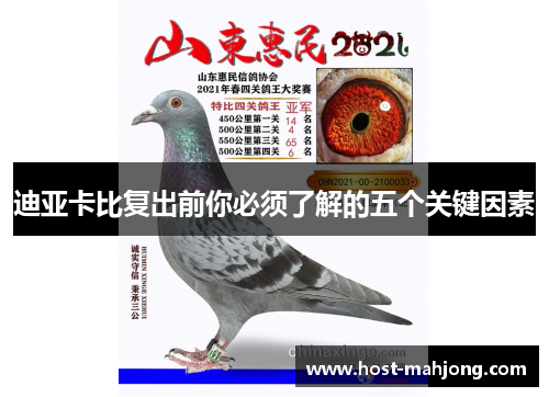 迪亚卡比复出前你必须了解的五个关键因素