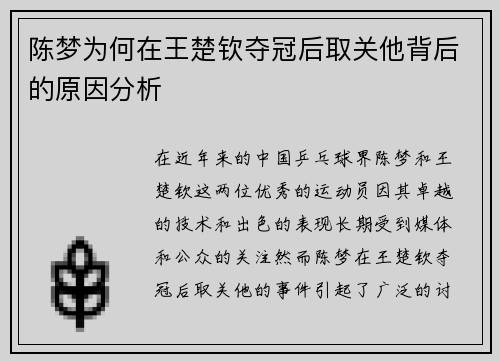 陈梦为何在王楚钦夺冠后取关他背后的原因分析